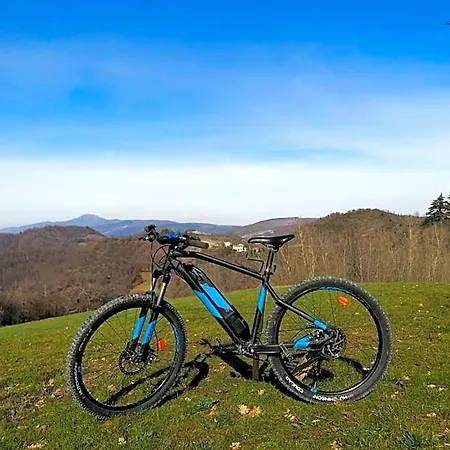 Il Castagneto 3*