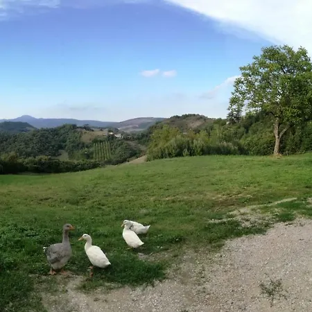 Bed & Breakfast Il Castagneto