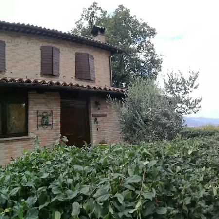 Bed and breakfast Il Castagneto