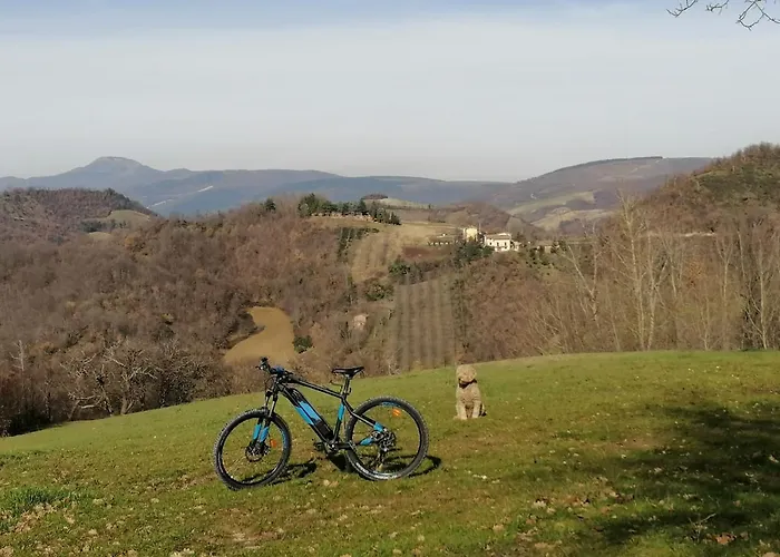 Bed & Breakfast Il Castagneto Camerino