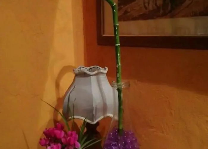 Il Castagneto Bed & Breakfast Camerino